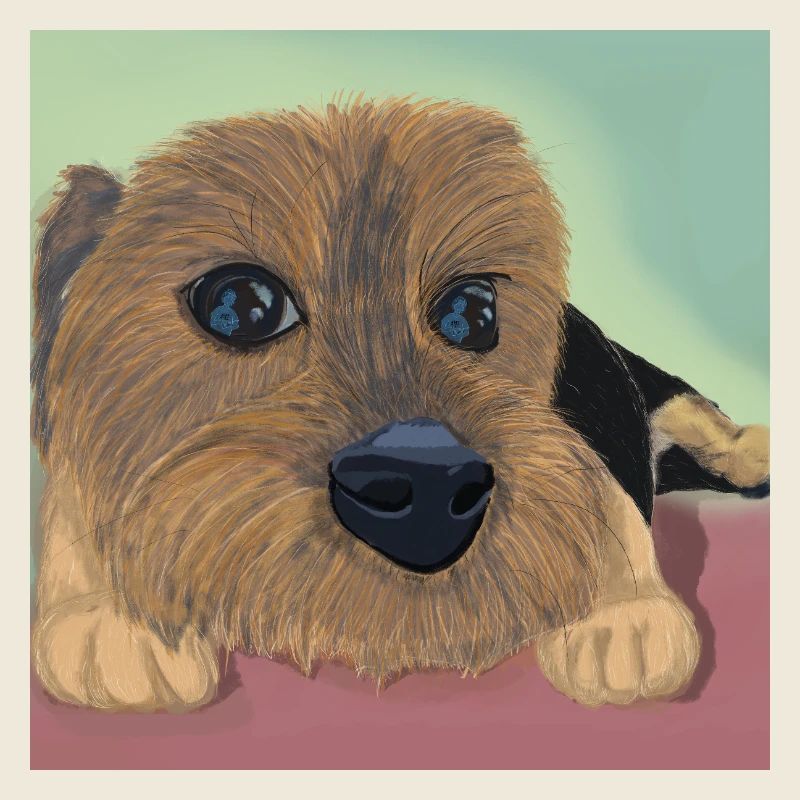 Yeux de chien ou réflexe d’amour