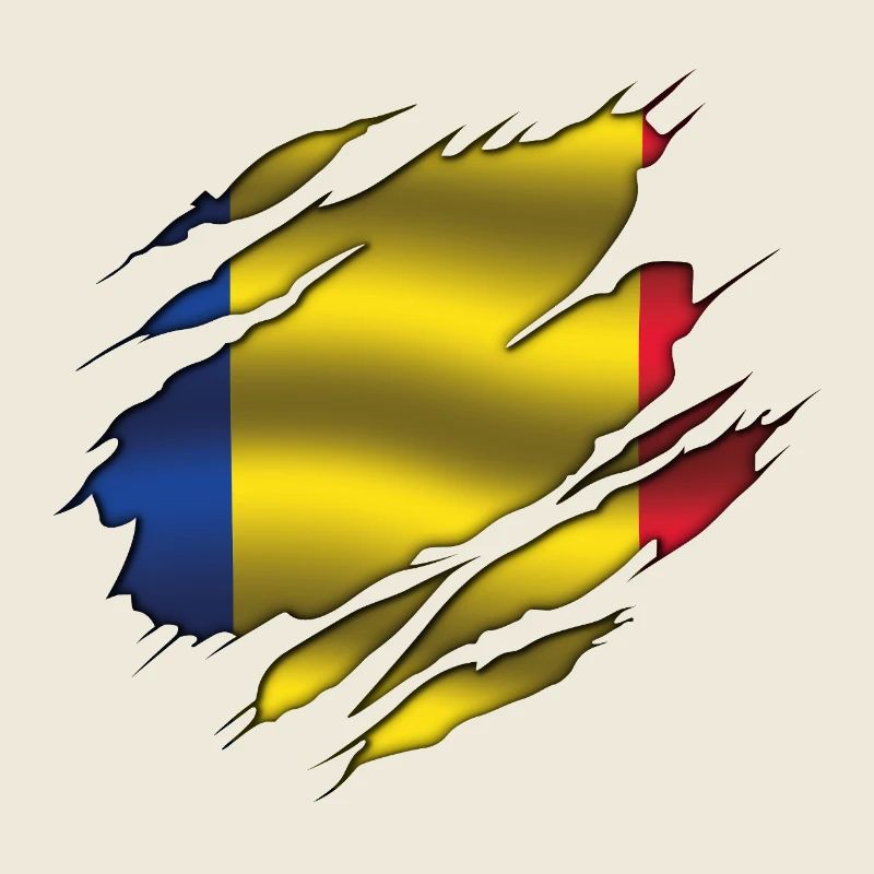 Drapeau de la Roumanie - Roumanie - Drapeau déchiré