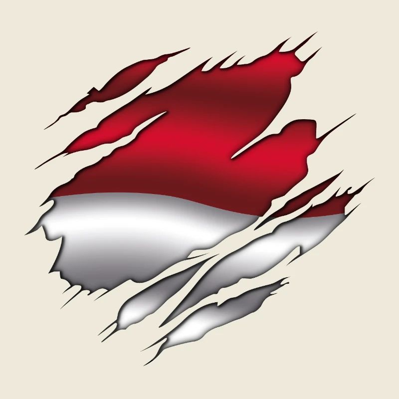 Drapeau de l’Indonésie - Indonésie - Drapeau déchiré