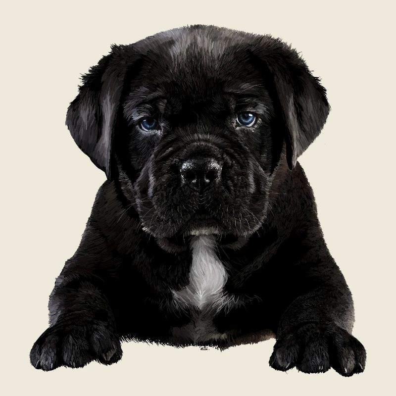Puppy