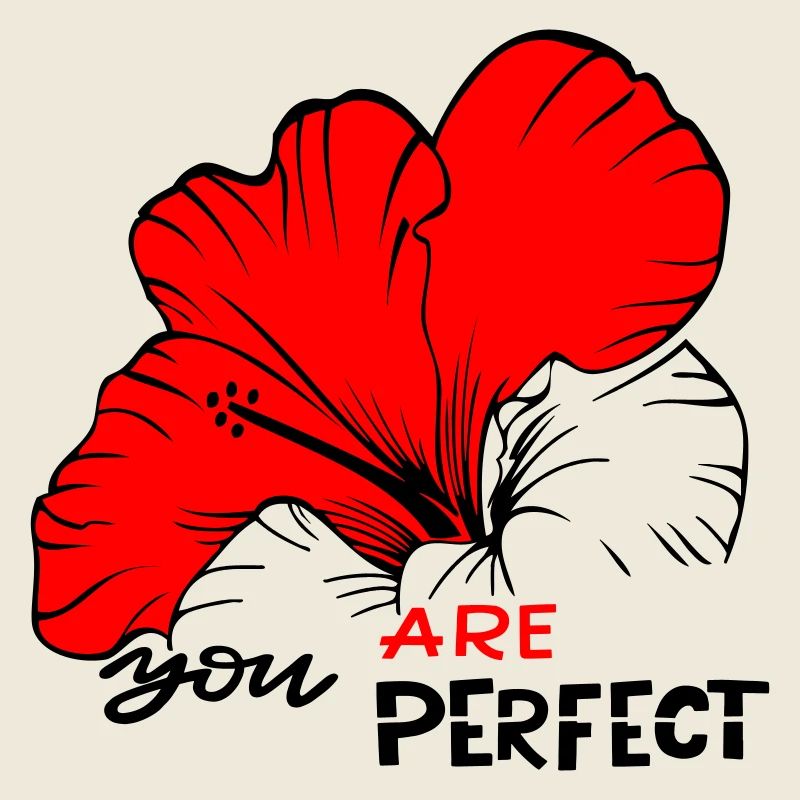 Vous êtes parfait