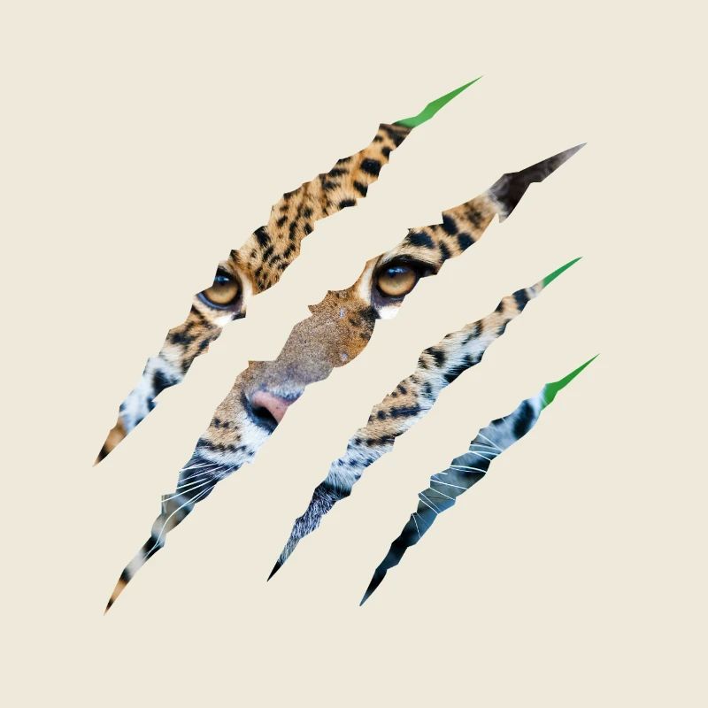 Wild Instinct – Tigeraugen durch die Klaue