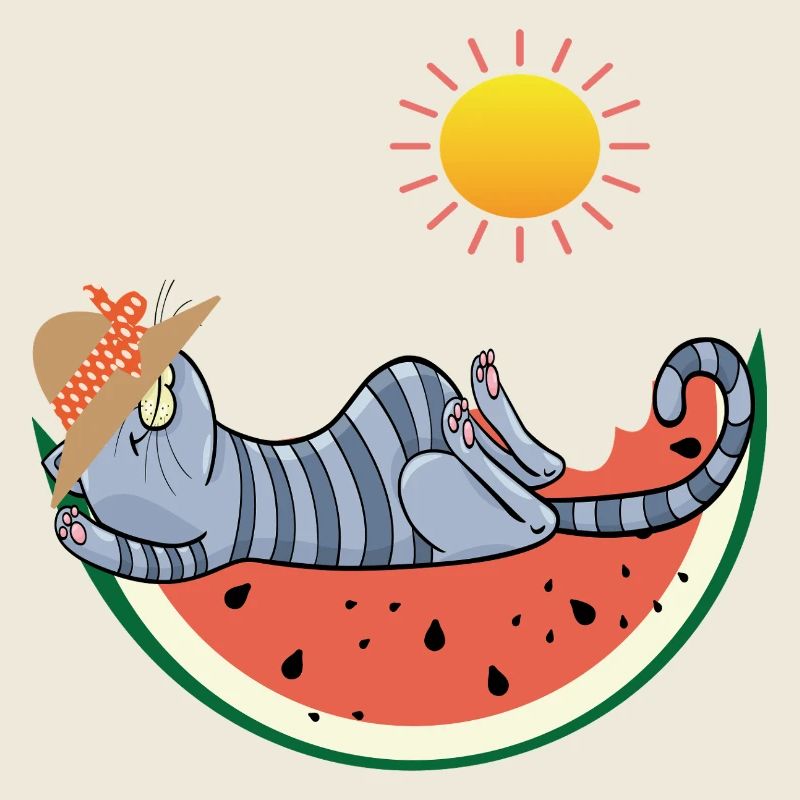Chat au melon au soleil