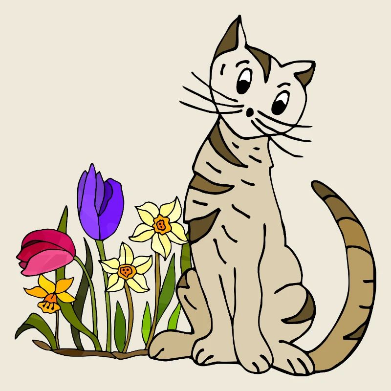 Katze