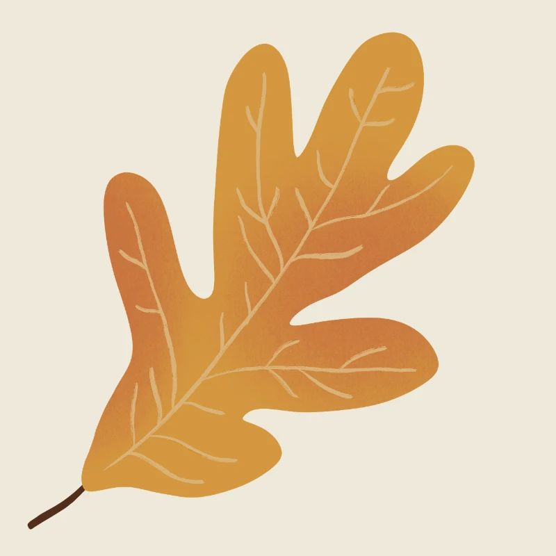 Herbst Eichenblatt Illustration