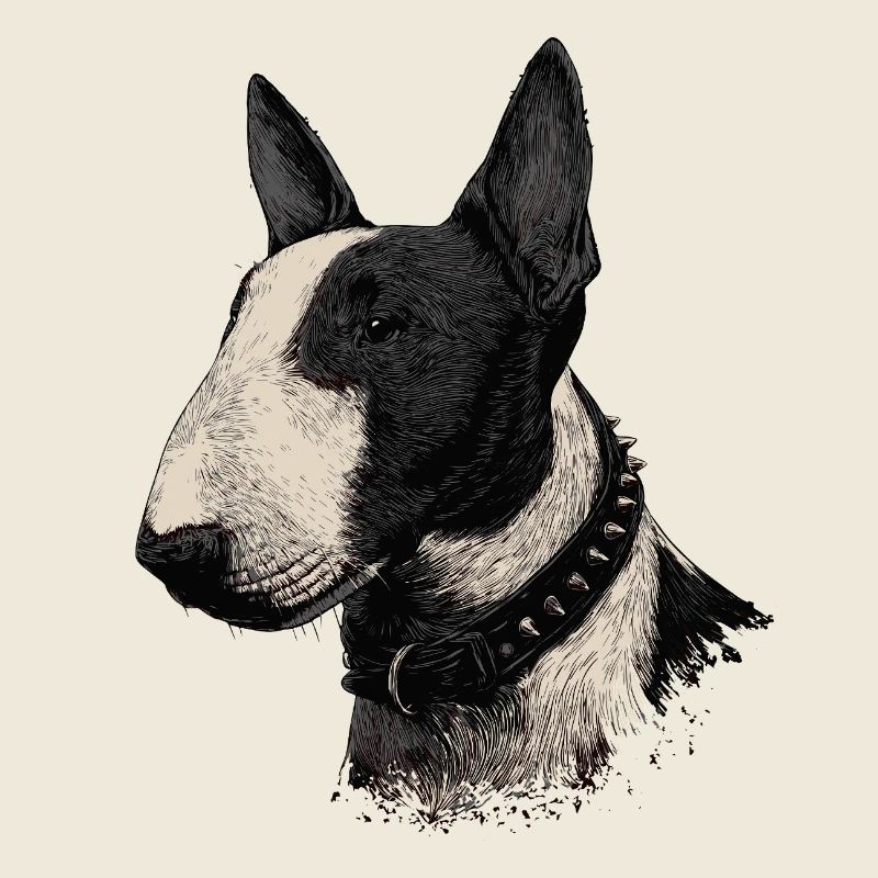 Bull Terrier