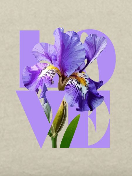 Elegantes lila Iris-Blumendesign