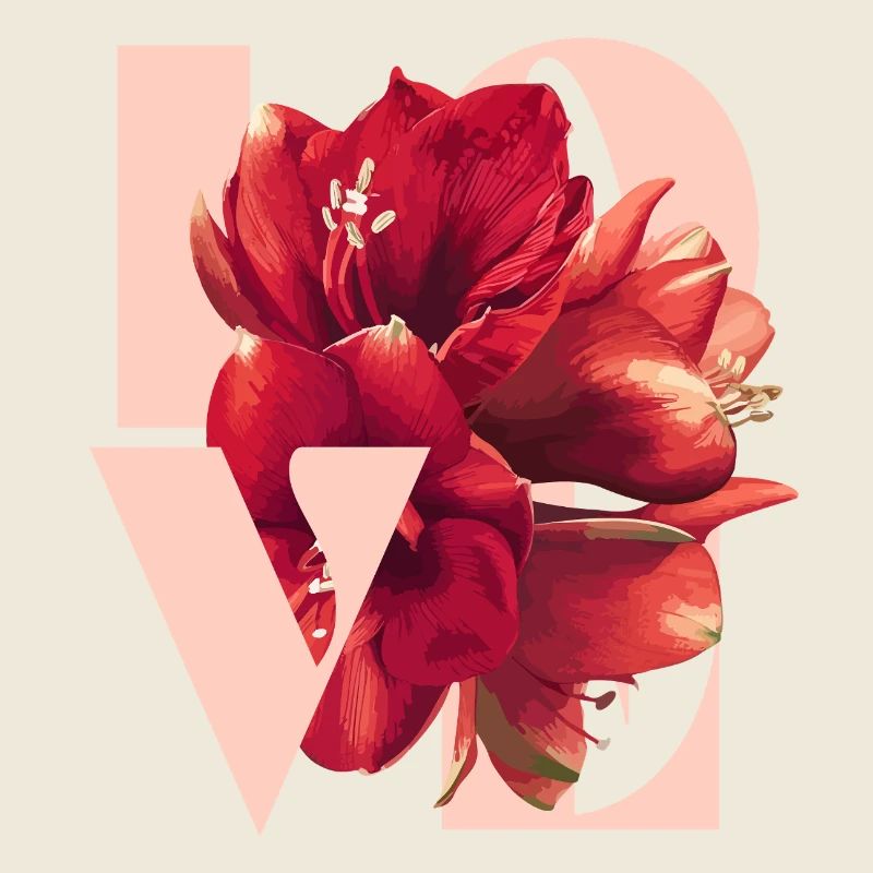 Illustration florale d’amaryllis rouge