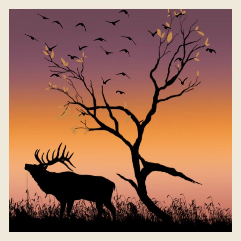 coucher de soleil nature 