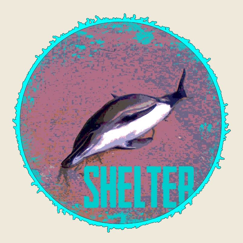 Dolphin Shelter Circle
