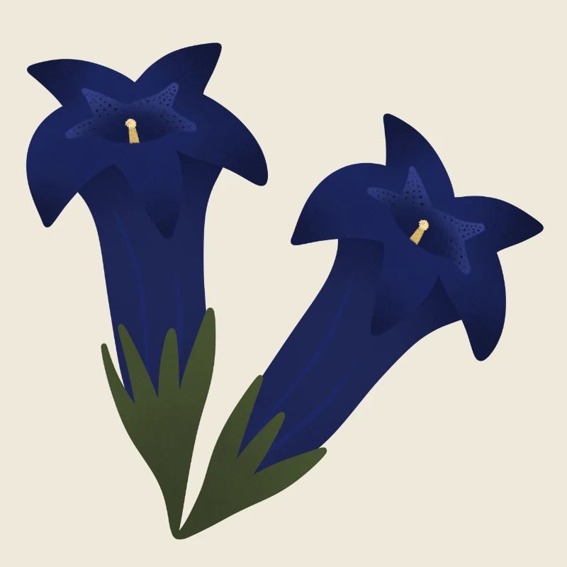 Gentian Flowers