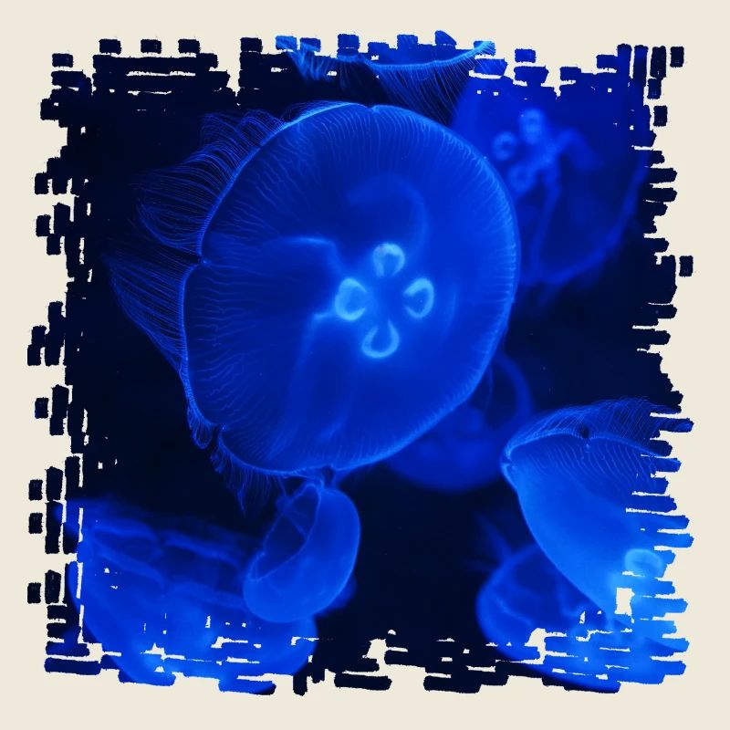 Neon jellyfish underwater magic