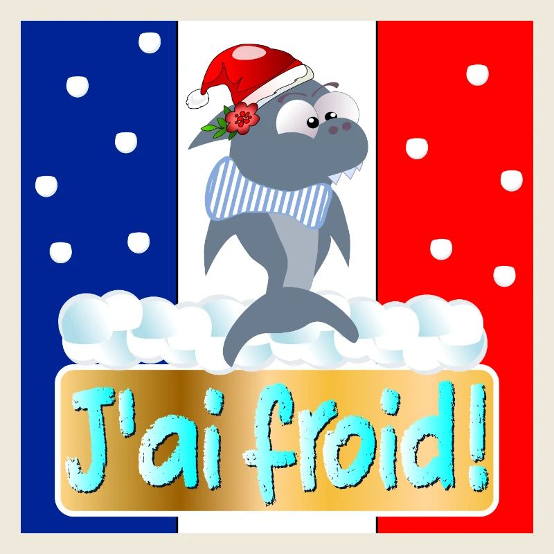 FRANCE J'AI FROID REQUINS