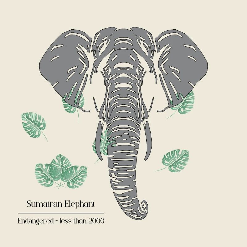 Sumatran_Elephant_-_grey