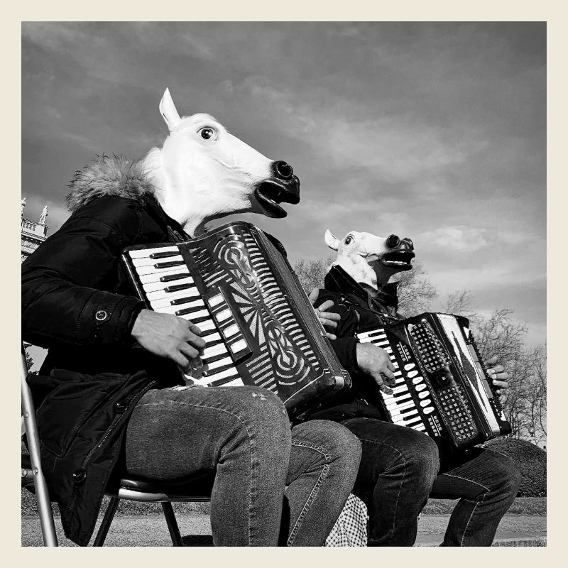 Bande de chevaux