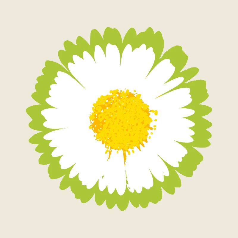 Fleur pop de marguerite ensoleillée
