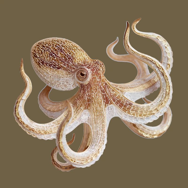 Octopus Net Pattern – Maritime Style