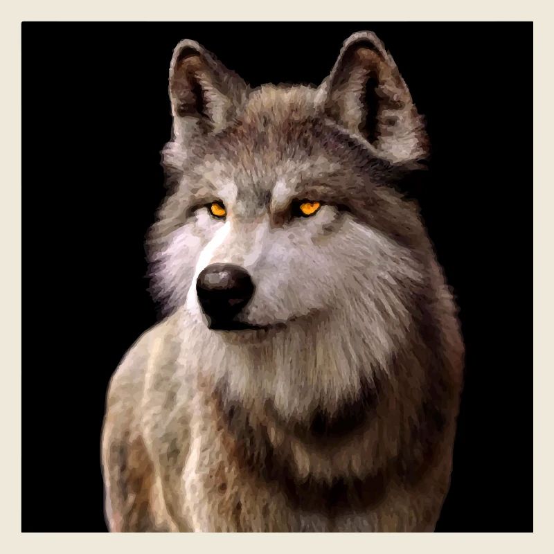 Regard de loup ambré dans l’obscurité