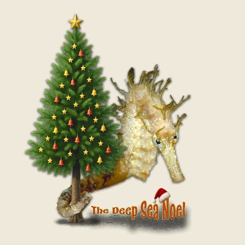 Season's Greetings from the Reef