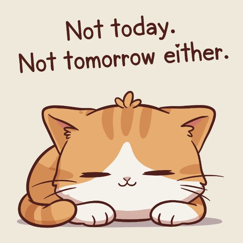 Sleeper kitten Not today Not tomorrow