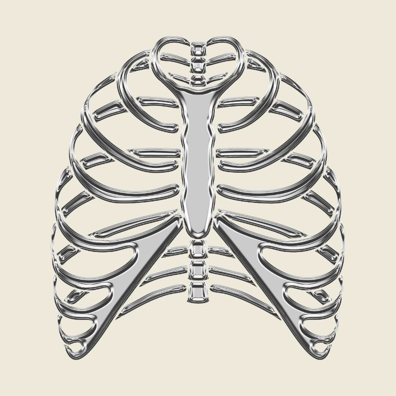 Chrome Ribcage / Skeleton Ribs