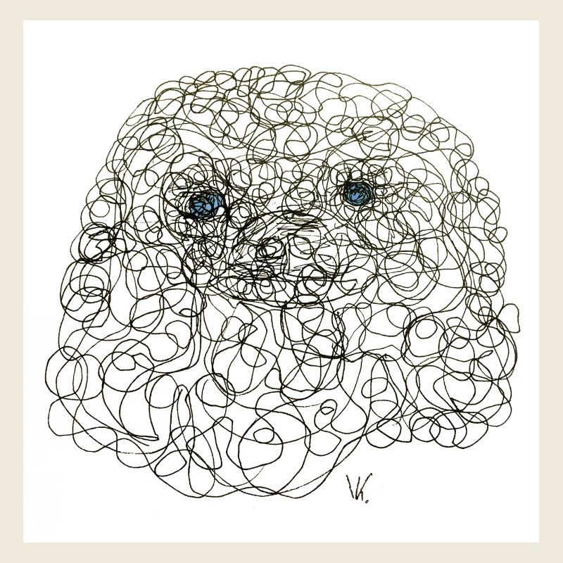 Bouclé Sherly