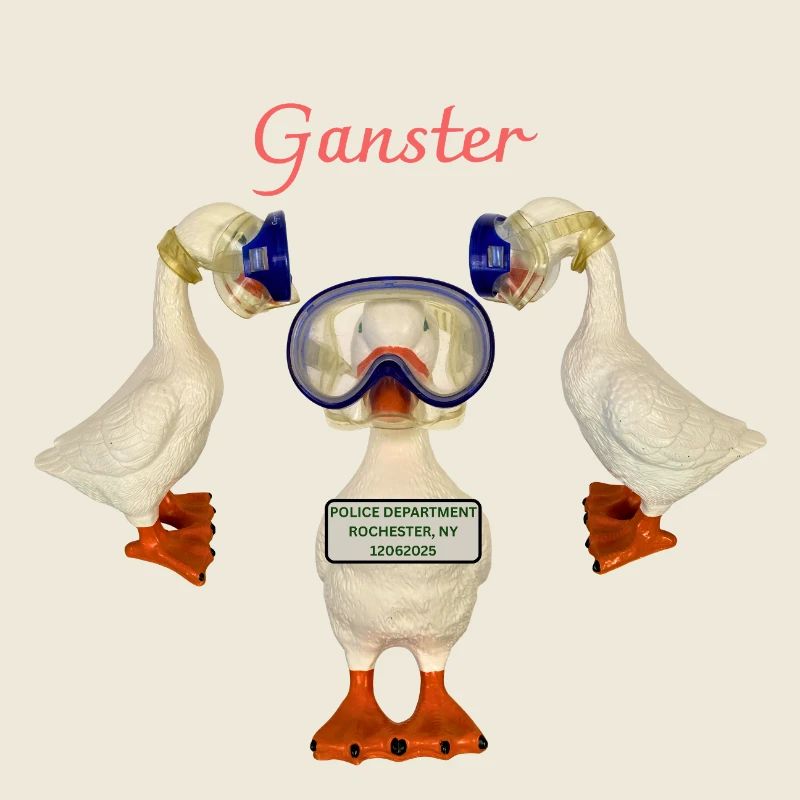 Ganster Goose arrêté