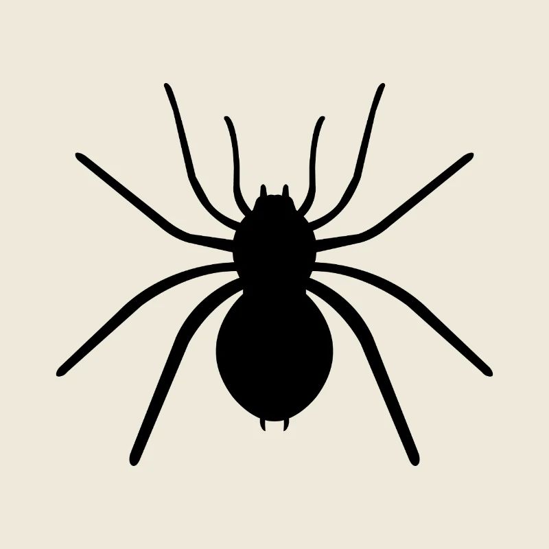 Spinne