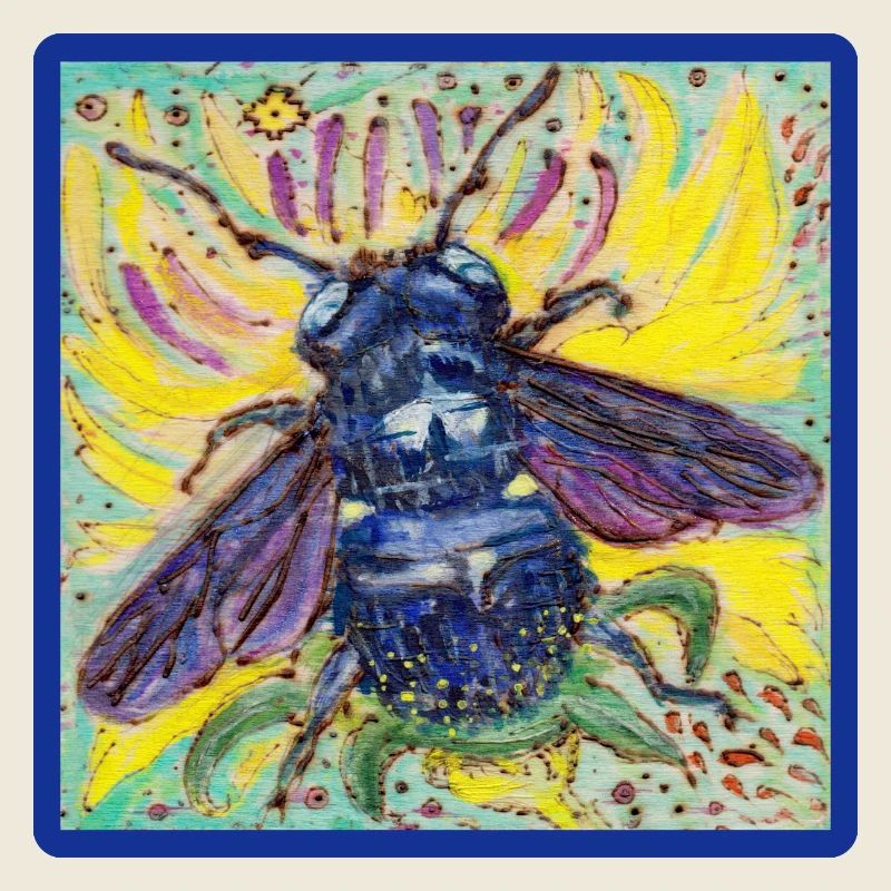 Abeille charpentière