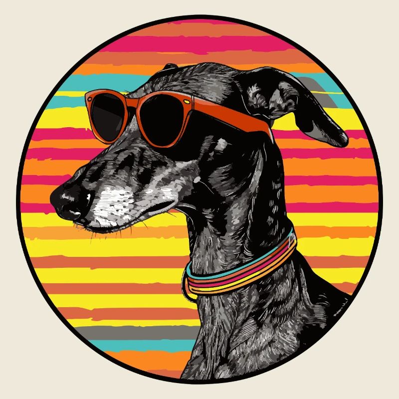 Chien avec des lunettes de soleil