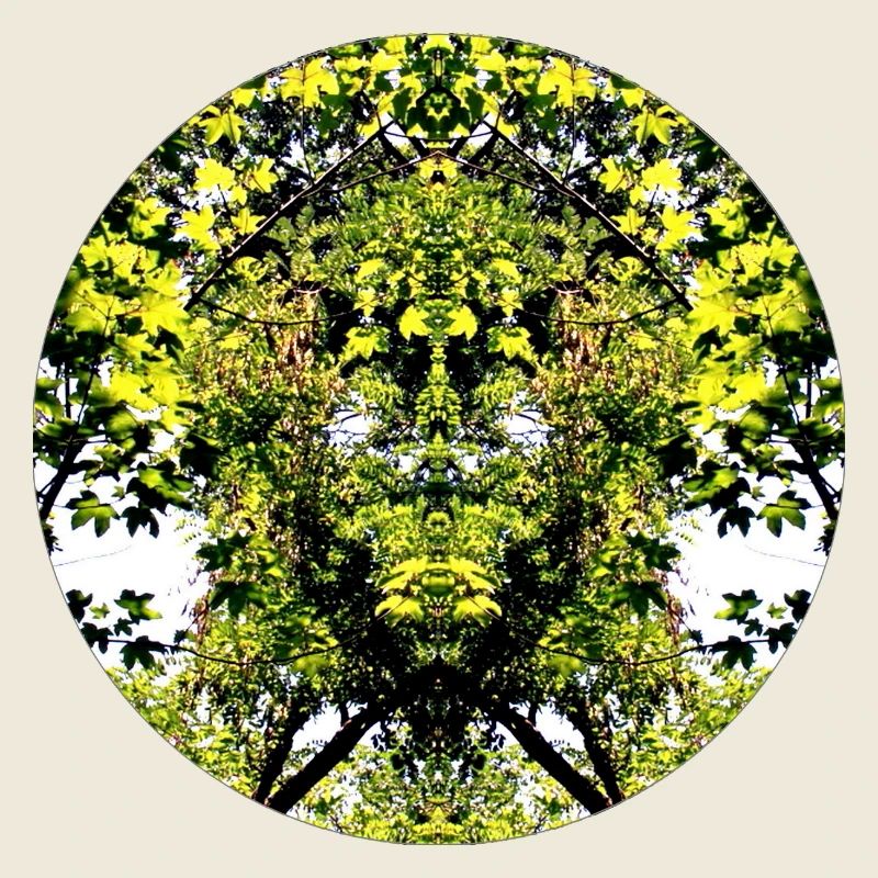 Créature de la nature des arbres