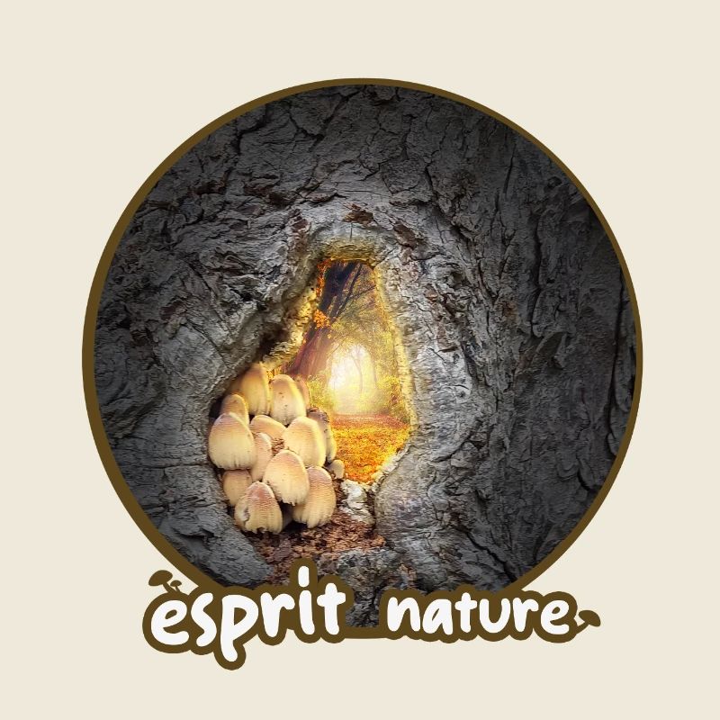 nature champi