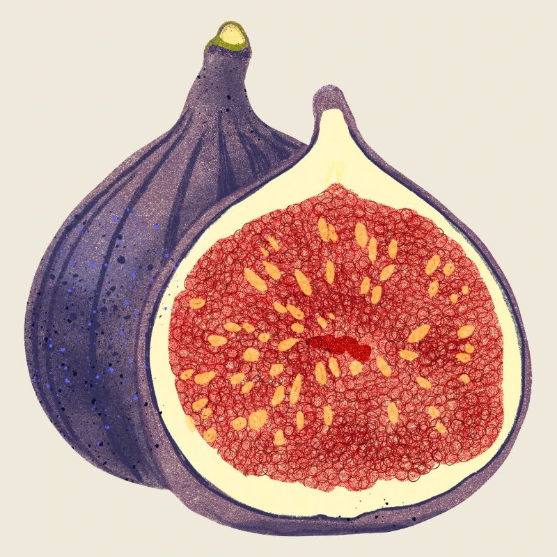 Figue ouverte – Illustration de fruits
