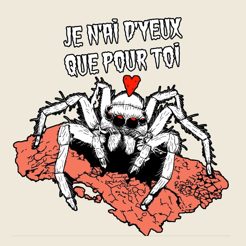 JE N'AI D'YEUX QUE POUR TOI ! (araignée)
