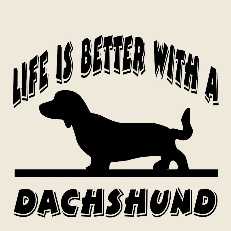 Dachshund