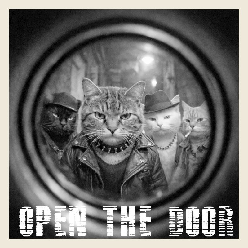 Door On Cats Noir