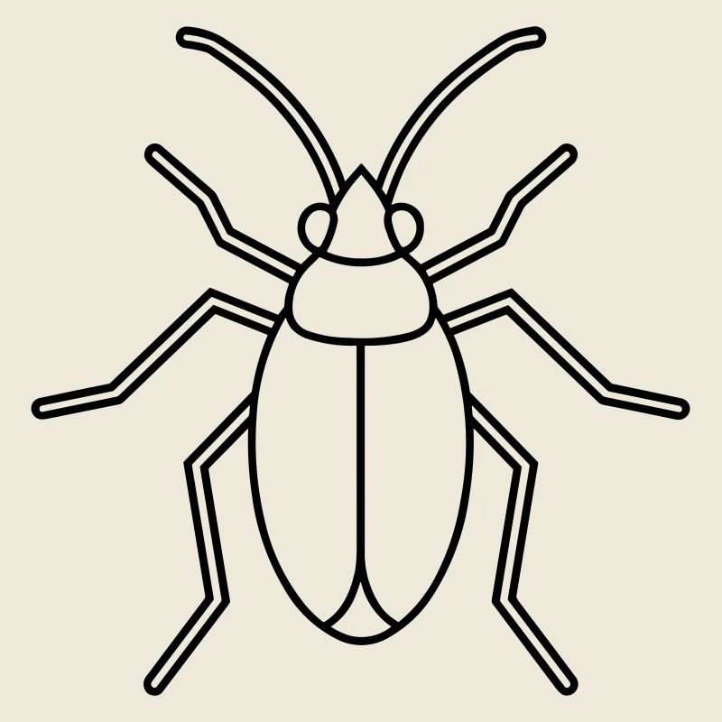 Aphid