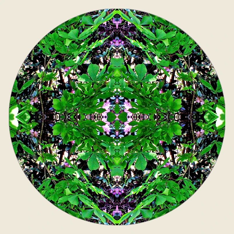 Nature Mandala Erlenstegen
