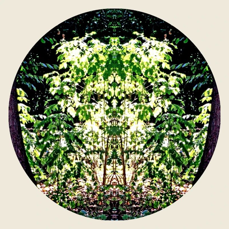 Face de feuille Mandala de la nature