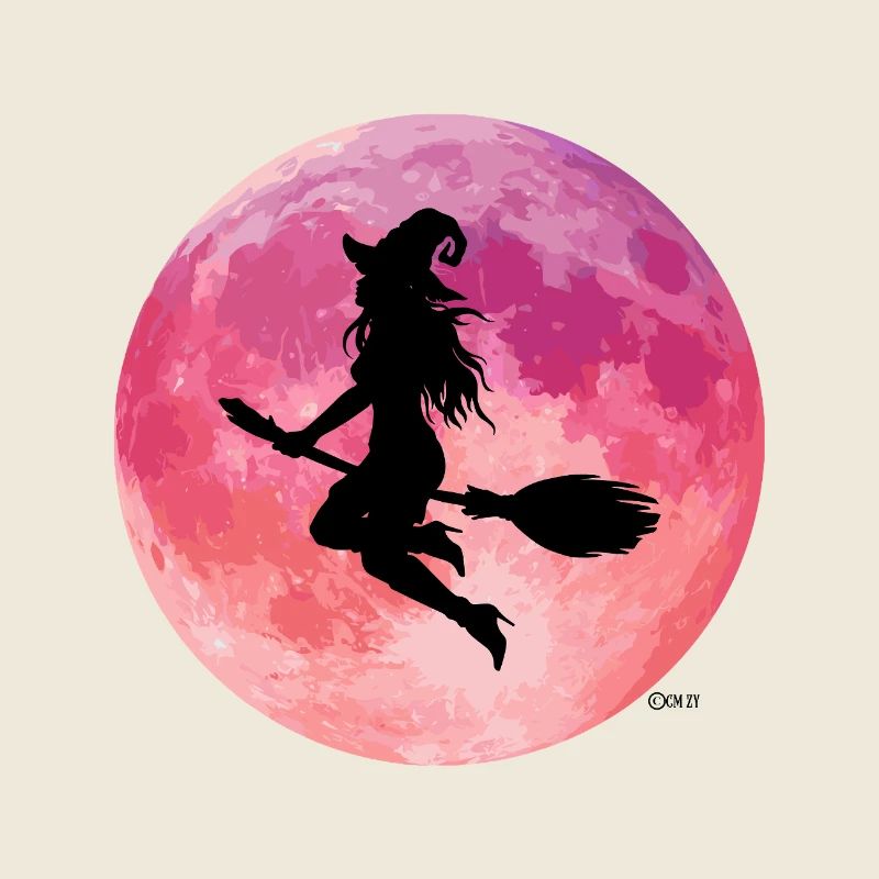 Pink Moon Night Flight Silhouette