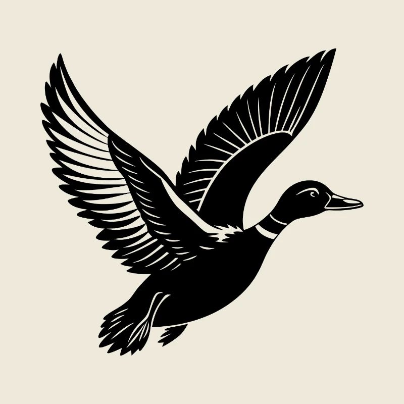 Canard colvert volant