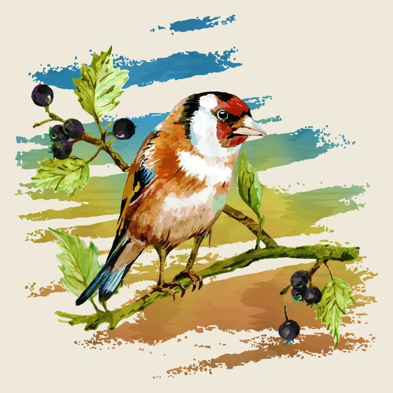 Oiseau coloré