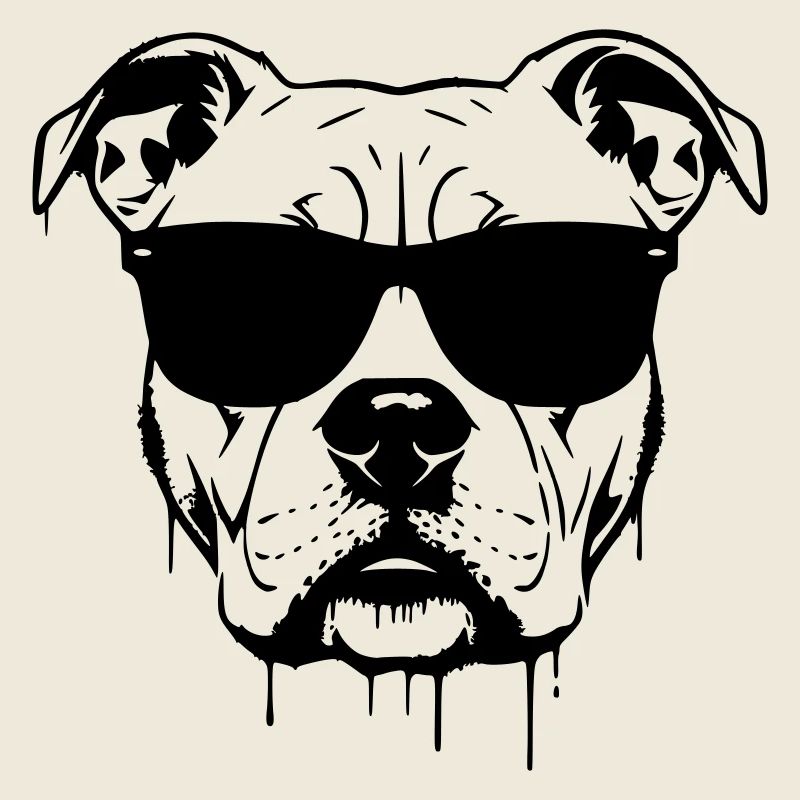 Graffiti des lunettes Pitbull