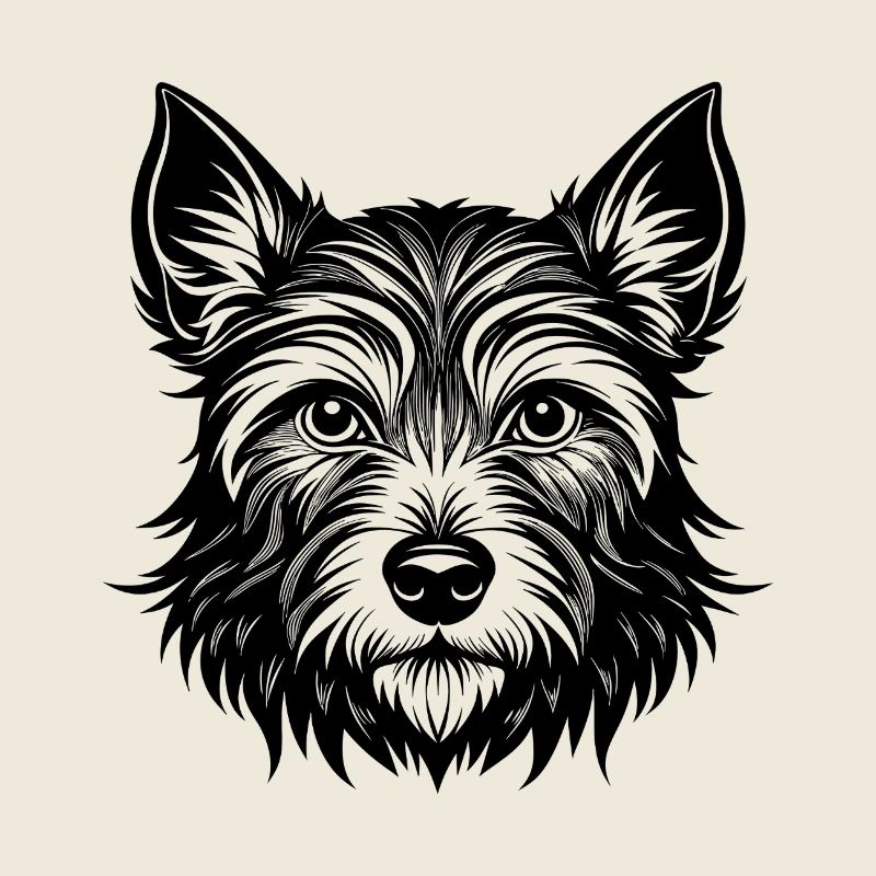 Cairn Terrier