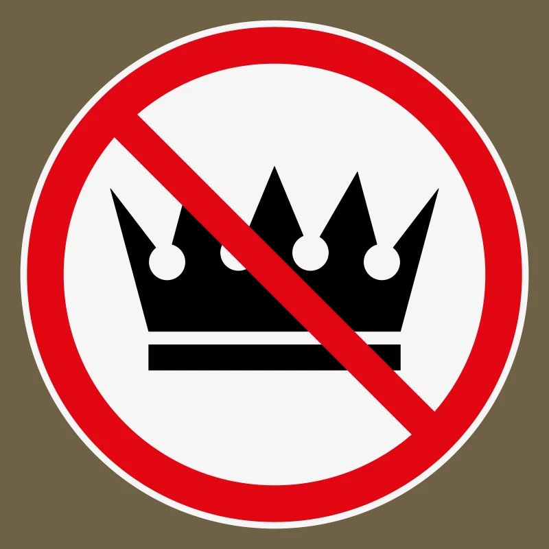 Pas de rois ! (Projet de protestation / 3C)