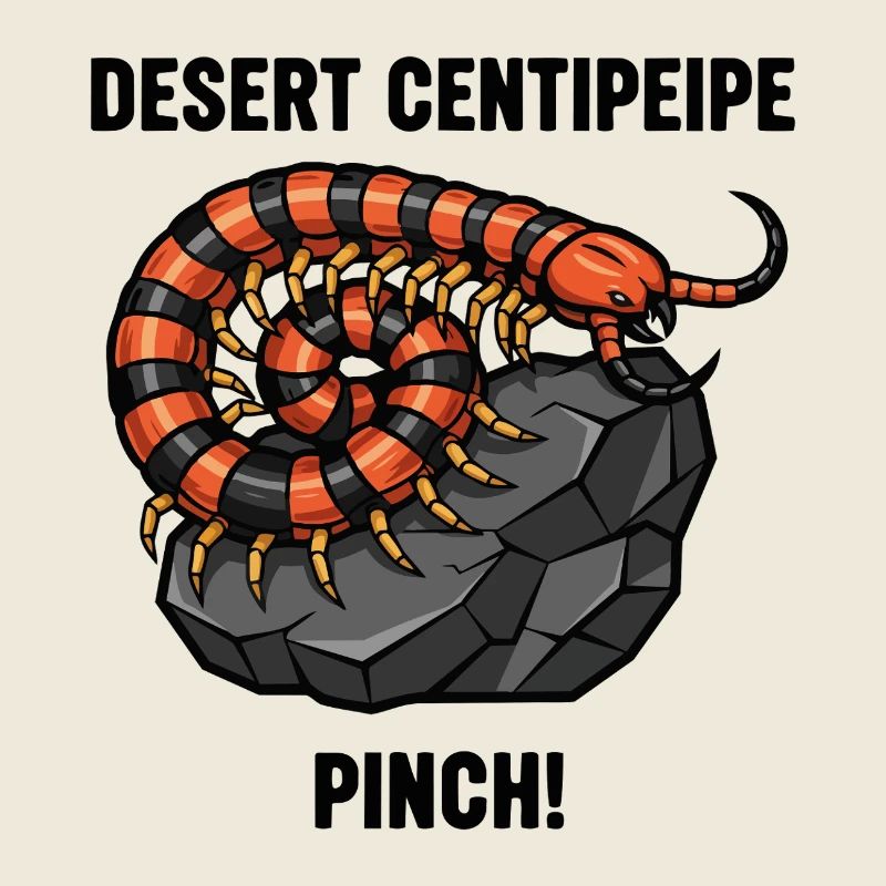 Scolopendre Désert Danger Pinch Centipede Noir