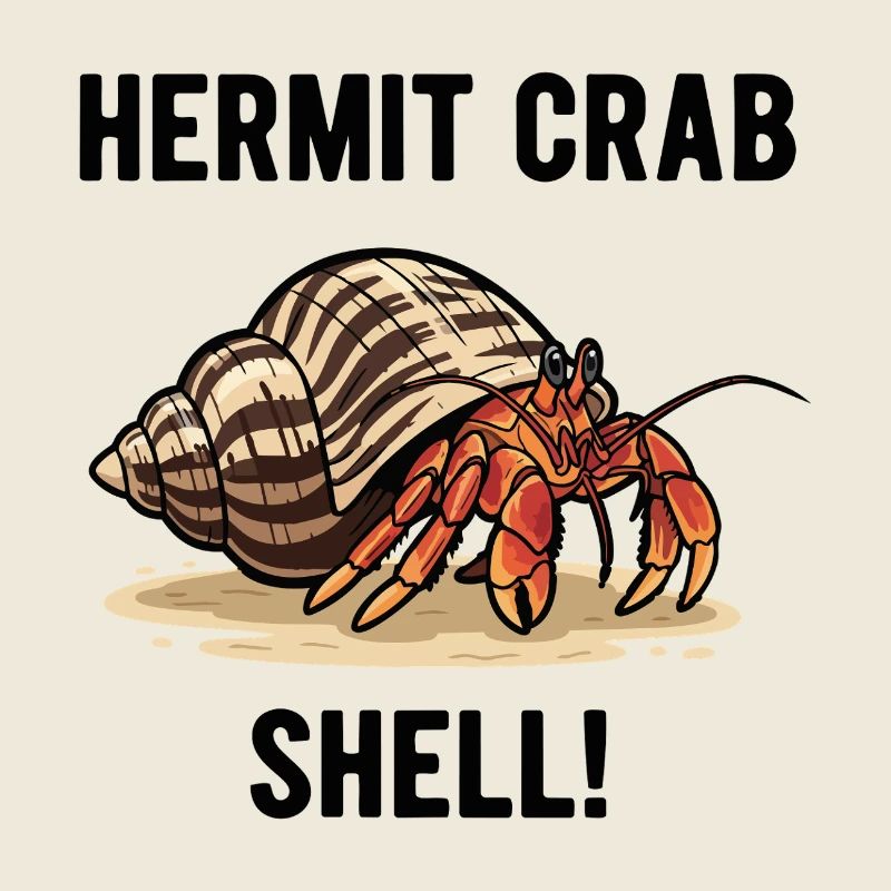 Bernard-l'ermite Shell Hermit Crab