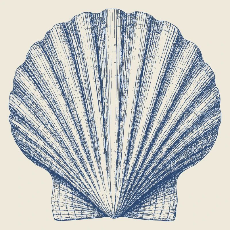 Mer de coquillages Océan Vintage