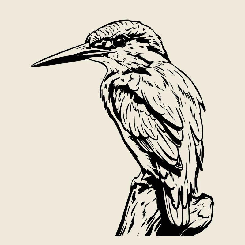 Specht / Eisvogel
