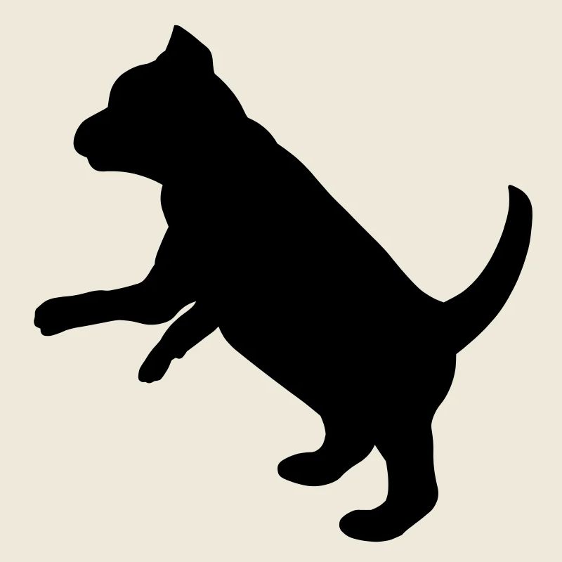 Ludique chiot